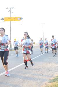 BIB: 7284, 6529
                            <button type="button" onclick="openModal(6483219)" class="btn btn-primary btn-sm float-right btn-popup" data-toggle="modal" data-target=".modal-high-quality">
                        <i class="fas fa-shopping-cart"></i> Add to Cart
                    </button>
                                            <button type="button" onclick="isThisMe(6483219, true)" class="btn btn-success btn-sm float-right btn-popup btn-isme hidden" data-toggle="tooltip" data-placement="bottom" title="นี่คือรูปของคุณใช่ไหม คลิกที่นี่เพื่อเอาเข้าอัลบั้ม">
                        <i class="fas fa-plus"></i> Add to album
                    </button>
                    <button type="button" onclick="isThisMe(6483219, false)" class="btn btn-warning btn-sm float-right btn-popup btn-isnotme hidden">
                        <i class="fas fa-ban"></i> Remove from album
                    </button>