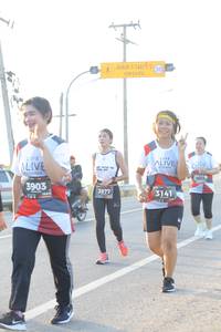 BIB: 7955, 3903, 3877, 3141
                            <button type="button" onclick="openModal(6484848)" class="btn btn-primary btn-sm float-right btn-popup" data-toggle="modal" data-target=".modal-high-quality">
                        <i class="fas fa-shopping-cart"></i> Add to Cart
                    </button>
                                            <button type="button" onclick="isThisMe(6484848, true)" class="btn btn-success btn-sm float-right btn-popup btn-isme hidden" data-toggle="tooltip" data-placement="bottom" title="นี่คือรูปของคุณใช่ไหม คลิกที่นี่เพื่อเอาเข้าอัลบั้ม">
                        <i class="fas fa-plus"></i> Add to album
                    </button>
                    <button type="button" onclick="isThisMe(6484848, false)" class="btn btn-warning btn-sm float-right btn-popup btn-isnotme hidden">
                        <i class="fas fa-ban"></i> Remove from album
                    </button>