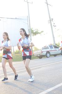 BIB: 
                            <button type="button" onclick="openModal(6483260)" class="btn btn-primary btn-sm float-right btn-popup" data-toggle="modal" data-target=".modal-high-quality">
                        <i class="fas fa-shopping-cart"></i> Add to Cart
                    </button>
                                            <button type="button" onclick="isThisMe(6483260, true)" class="btn btn-success btn-sm float-right btn-popup btn-isme hidden" data-toggle="tooltip" data-placement="bottom" title="นี่คือรูปของคุณใช่ไหม คลิกที่นี่เพื่อเอาเข้าอัลบั้ม">
                        <i class="fas fa-plus"></i> Add to album
                    </button>
                    <button type="button" onclick="isThisMe(6483260, false)" class="btn btn-warning btn-sm float-right btn-popup btn-isnotme hidden">
                        <i class="fas fa-ban"></i> Remove from album
                    </button>