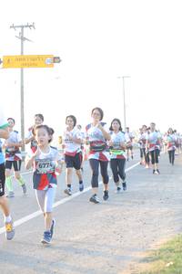 BIB: 709, 7316, 6774
                            <button type="button" onclick="openModal(6483247)" class="btn btn-primary btn-sm float-right btn-popup" data-toggle="modal" data-target=".modal-high-quality">
                        <i class="fas fa-shopping-cart"></i> Add to Cart
                    </button>
                                            <button type="button" onclick="isThisMe(6483247, true)" class="btn btn-success btn-sm float-right btn-popup btn-isme hidden" data-toggle="tooltip" data-placement="bottom" title="นี่คือรูปของคุณใช่ไหม คลิกที่นี่เพื่อเอาเข้าอัลบั้ม">
                        <i class="fas fa-plus"></i> Add to album
                    </button>
                    <button type="button" onclick="isThisMe(6483247, false)" class="btn btn-warning btn-sm float-right btn-popup btn-isnotme hidden">
                        <i class="fas fa-ban"></i> Remove from album
                    </button>