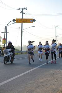 BIB: 
                            <button type="button" onclick="openModal(6485725)" class="btn btn-primary btn-sm float-right btn-popup" data-toggle="modal" data-target=".modal-high-quality">
                        <i class="fas fa-shopping-cart"></i> Add to Cart
                    </button>
                                            <button type="button" onclick="isThisMe(6485725, true)" class="btn btn-success btn-sm float-right btn-popup btn-isme hidden" data-toggle="tooltip" data-placement="bottom" title="นี่คือรูปของคุณใช่ไหม คลิกที่นี่เพื่อเอาเข้าอัลบั้ม">
                        <i class="fas fa-plus"></i> Add to album
                    </button>
                    <button type="button" onclick="isThisMe(6485725, false)" class="btn btn-warning btn-sm float-right btn-popup btn-isnotme hidden">
                        <i class="fas fa-ban"></i> Remove from album
                    </button>