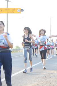 BIB: 7463, 7201
                            <button type="button" onclick="openModal(6485120)" class="btn btn-primary btn-sm float-right btn-popup" data-toggle="modal" data-target=".modal-high-quality">
                        <i class="fas fa-shopping-cart"></i> Add to Cart
                    </button>
                                            <button type="button" onclick="isThisMe(6485120, true)" class="btn btn-success btn-sm float-right btn-popup btn-isme hidden" data-toggle="tooltip" data-placement="bottom" title="นี่คือรูปของคุณใช่ไหม คลิกที่นี่เพื่อเอาเข้าอัลบั้ม">
                        <i class="fas fa-plus"></i> Add to album
                    </button>
                    <button type="button" onclick="isThisMe(6485120, false)" class="btn btn-warning btn-sm float-right btn-popup btn-isnotme hidden">
                        <i class="fas fa-ban"></i> Remove from album
                    </button>