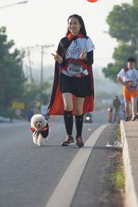 BIB: 6106
                            <button type="button" onclick="openModal(6420519)" class="btn btn-primary btn-sm float-right btn-popup" data-toggle="modal" data-target=".modal-high-quality">
                        <i class="fas fa-shopping-cart"></i> Add to Cart
                    </button>
                                            <button type="button" onclick="isThisMe(6420519, true)" class="btn btn-success btn-sm float-right btn-popup btn-isme hidden" data-toggle="tooltip" data-placement="bottom" title="นี่คือรูปของคุณใช่ไหม คลิกที่นี่เพื่อเอาเข้าอัลบั้ม">
                        <i class="fas fa-plus"></i> Add to album
                    </button>
                    <button type="button" onclick="isThisMe(6420519, false)" class="btn btn-warning btn-sm float-right btn-popup btn-isnotme hidden">
                        <i class="fas fa-ban"></i> Remove from album
                    </button>