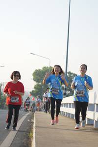 BIB: 7019, 6094, 2010, 6332, 6331
                            <button type="button" onclick="openModal(6420387)" class="btn btn-primary btn-sm float-right btn-popup" data-toggle="modal" data-target=".modal-high-quality">
                        <i class="fas fa-shopping-cart"></i> Add to Cart
                    </button>
                                            <button type="button" onclick="isThisMe(6420387, true)" class="btn btn-success btn-sm float-right btn-popup btn-isme hidden" data-toggle="tooltip" data-placement="bottom" title="นี่คือรูปของคุณใช่ไหม คลิกที่นี่เพื่อเอาเข้าอัลบั้ม">
                        <i class="fas fa-plus"></i> Add to album
                    </button>
                    <button type="button" onclick="isThisMe(6420387, false)" class="btn btn-warning btn-sm float-right btn-popup btn-isnotme hidden">
                        <i class="fas fa-ban"></i> Remove from album
                    </button>