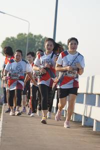 BIB: 6756, 6550
                            <button type="button" onclick="openModal(6423012)" class="btn btn-primary btn-sm float-right btn-popup" data-toggle="modal" data-target=".modal-high-quality">
                        <i class="fas fa-shopping-cart"></i> Add to Cart
                    </button>
                                            <button type="button" onclick="isThisMe(6423012, true)" class="btn btn-success btn-sm float-right btn-popup btn-isme hidden" data-toggle="tooltip" data-placement="bottom" title="นี่คือรูปของคุณใช่ไหม คลิกที่นี่เพื่อเอาเข้าอัลบั้ม">
                        <i class="fas fa-plus"></i> Add to album
                    </button>
                    <button type="button" onclick="isThisMe(6423012, false)" class="btn btn-warning btn-sm float-right btn-popup btn-isnotme hidden">
                        <i class="fas fa-ban"></i> Remove from album
                    </button>