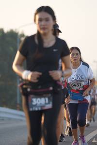 BIB: 6451, 3081
                            <button type="button" onclick="openModal(6415002)" class="btn btn-primary btn-sm float-right btn-popup" data-toggle="modal" data-target=".modal-high-quality">
                        <i class="fas fa-shopping-cart"></i> Add to Cart
                    </button>
                                            <button type="button" onclick="isThisMe(6415002, true)" class="btn btn-success btn-sm float-right btn-popup btn-isme hidden" data-toggle="tooltip" data-placement="bottom" title="นี่คือรูปของคุณใช่ไหม คลิกที่นี่เพื่อเอาเข้าอัลบั้ม">
                        <i class="fas fa-plus"></i> Add to album
                    </button>
                    <button type="button" onclick="isThisMe(6415002, false)" class="btn btn-warning btn-sm float-right btn-popup btn-isnotme hidden">
                        <i class="fas fa-ban"></i> Remove from album
                    </button>