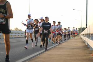 BIB: 040, 3115, 3849
                            <button type="button" onclick="openModal(6433920)" class="btn btn-primary btn-sm float-right btn-popup" data-toggle="modal" data-target=".modal-high-quality">
                        <i class="fas fa-shopping-cart"></i> Add to Cart
                    </button>
                                            <button type="button" onclick="isThisMe(6433920, true)" class="btn btn-success btn-sm float-right btn-popup btn-isme hidden" data-toggle="tooltip" data-placement="bottom" title="นี่คือรูปของคุณใช่ไหม คลิกที่นี่เพื่อเอาเข้าอัลบั้ม">
                        <i class="fas fa-plus"></i> Add to album
                    </button>
                    <button type="button" onclick="isThisMe(6433920, false)" class="btn btn-warning btn-sm float-right btn-popup btn-isnotme hidden">
                        <i class="fas fa-ban"></i> Remove from album
                    </button>