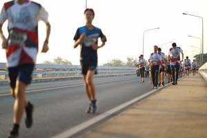 BIB: 
                            <button type="button" onclick="openModal(6443541)" class="btn btn-primary btn-sm float-right btn-popup" data-toggle="modal" data-target=".modal-high-quality">
                        <i class="fas fa-shopping-cart"></i> Add to Cart
                    </button>
                                            <button type="button" onclick="isThisMe(6443541, true)" class="btn btn-success btn-sm float-right btn-popup btn-isme hidden" data-toggle="tooltip" data-placement="bottom" title="นี่คือรูปของคุณใช่ไหม คลิกที่นี่เพื่อเอาเข้าอัลบั้ม">
                        <i class="fas fa-plus"></i> Add to album
                    </button>
                    <button type="button" onclick="isThisMe(6443541, false)" class="btn btn-warning btn-sm float-right btn-popup btn-isnotme hidden">
                        <i class="fas fa-ban"></i> Remove from album
                    </button>