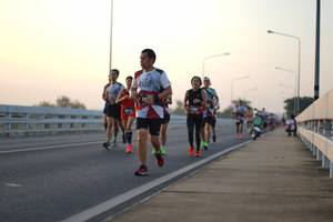 BIB: 
                            <button type="button" onclick="openModal(6409591)" class="btn btn-primary btn-sm float-right btn-popup" data-toggle="modal" data-target=".modal-high-quality">
                        <i class="fas fa-shopping-cart"></i> Add to Cart
                    </button>
                                            <button type="button" onclick="isThisMe(6409591, true)" class="btn btn-success btn-sm float-right btn-popup btn-isme hidden" data-toggle="tooltip" data-placement="bottom" title="นี่คือรูปของคุณใช่ไหม คลิกที่นี่เพื่อเอาเข้าอัลบั้ม">
                        <i class="fas fa-plus"></i> Add to album
                    </button>
                    <button type="button" onclick="isThisMe(6409591, false)" class="btn btn-warning btn-sm float-right btn-popup btn-isnotme hidden">
                        <i class="fas fa-ban"></i> Remove from album
                    </button>