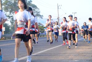 BIB: 185
                            <button type="button" onclick="openModal(6431417)" class="btn btn-primary btn-sm float-right btn-popup" data-toggle="modal" data-target=".modal-high-quality">
                        <i class="fas fa-shopping-cart"></i> Add to Cart
                    </button>
                                            <button type="button" onclick="isThisMe(6431417, true)" class="btn btn-success btn-sm float-right btn-popup btn-isme hidden" data-toggle="tooltip" data-placement="bottom" title="นี่คือรูปของคุณใช่ไหม คลิกที่นี่เพื่อเอาเข้าอัลบั้ม">
                        <i class="fas fa-plus"></i> Add to album
                    </button>
                    <button type="button" onclick="isThisMe(6431417, false)" class="btn btn-warning btn-sm float-right btn-popup btn-isnotme hidden">
                        <i class="fas fa-ban"></i> Remove from album
                    </button>