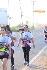 BIB: 6546, 6302
                            <button type="button" onclick="openModal(6431677)" class="btn btn-primary btn-sm float-right btn-popup" data-toggle="modal" data-target=".modal-high-quality">
                        <i class="fas fa-shopping-cart"></i> Add to Cart
                    </button>
                                            <button type="button" onclick="isThisMe(6431677, true)" class="btn btn-success btn-sm float-right btn-popup btn-isme hidden" data-toggle="tooltip" data-placement="bottom" title="นี่คือรูปของคุณใช่ไหม คลิกที่นี่เพื่อเอาเข้าอัลบั้ม">
                        <i class="fas fa-plus"></i> Add to album
                    </button>
                    <button type="button" onclick="isThisMe(6431677, false)" class="btn btn-warning btn-sm float-right btn-popup btn-isnotme hidden">
                        <i class="fas fa-ban"></i> Remove from album
                    </button>