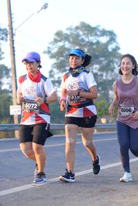 BIB: 5072, 6006
                            <button type="button" onclick="openModal(6430112)" class="btn btn-primary btn-sm float-right btn-popup" data-toggle="modal" data-target=".modal-high-quality">
                        <i class="fas fa-shopping-cart"></i> Add to Cart
                    </button>
                                            <button type="button" onclick="isThisMe(6430112, true)" class="btn btn-success btn-sm float-right btn-popup btn-isme hidden" data-toggle="tooltip" data-placement="bottom" title="นี่คือรูปของคุณใช่ไหม คลิกที่นี่เพื่อเอาเข้าอัลบั้ม">
                        <i class="fas fa-plus"></i> Add to album
                    </button>
                    <button type="button" onclick="isThisMe(6430112, false)" class="btn btn-warning btn-sm float-right btn-popup btn-isnotme hidden">
                        <i class="fas fa-ban"></i> Remove from album
                    </button>