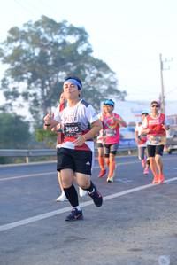 BIB: 3835
                            <button type="button" onclick="openModal(6429741)" class="btn btn-primary btn-sm float-right btn-popup" data-toggle="modal" data-target=".modal-high-quality">
                        <i class="fas fa-shopping-cart"></i> Add to Cart
                    </button>
                                            <button type="button" onclick="isThisMe(6429741, true)" class="btn btn-success btn-sm float-right btn-popup btn-isme hidden" data-toggle="tooltip" data-placement="bottom" title="นี่คือรูปของคุณใช่ไหม คลิกที่นี่เพื่อเอาเข้าอัลบั้ม">
                        <i class="fas fa-plus"></i> Add to album
                    </button>
                    <button type="button" onclick="isThisMe(6429741, false)" class="btn btn-warning btn-sm float-right btn-popup btn-isnotme hidden">
                        <i class="fas fa-ban"></i> Remove from album
                    </button>