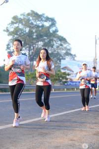 BIB: 7194, 7147
                            <button type="button" onclick="openModal(6431007)" class="btn btn-primary btn-sm float-right btn-popup" data-toggle="modal" data-target=".modal-high-quality">
                        <i class="fas fa-shopping-cart"></i> Add to Cart
                    </button>
                                            <button type="button" onclick="isThisMe(6431007, true)" class="btn btn-success btn-sm float-right btn-popup btn-isme hidden" data-toggle="tooltip" data-placement="bottom" title="นี่คือรูปของคุณใช่ไหม คลิกที่นี่เพื่อเอาเข้าอัลบั้ม">
                        <i class="fas fa-plus"></i> Add to album
                    </button>
                    <button type="button" onclick="isThisMe(6431007, false)" class="btn btn-warning btn-sm float-right btn-popup btn-isnotme hidden">
                        <i class="fas fa-ban"></i> Remove from album
                    </button>