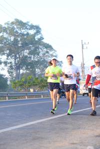 BIB: 0630, 560
                            <button type="button" onclick="openModal(6430155)" class="btn btn-primary btn-sm float-right btn-popup" data-toggle="modal" data-target=".modal-high-quality">
                        <i class="fas fa-shopping-cart"></i> Add to Cart
                    </button>
                                            <button type="button" onclick="isThisMe(6430155, true)" class="btn btn-success btn-sm float-right btn-popup btn-isme hidden" data-toggle="tooltip" data-placement="bottom" title="นี่คือรูปของคุณใช่ไหม คลิกที่นี่เพื่อเอาเข้าอัลบั้ม">
                        <i class="fas fa-plus"></i> Add to album
                    </button>
                    <button type="button" onclick="isThisMe(6430155, false)" class="btn btn-warning btn-sm float-right btn-popup btn-isnotme hidden">
                        <i class="fas fa-ban"></i> Remove from album
                    </button>