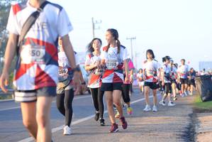 BIB: 7203, 205, 380, 185
                            <button type="button" onclick="openModal(6431418)" class="btn btn-primary btn-sm float-right btn-popup" data-toggle="modal" data-target=".modal-high-quality">
                        <i class="fas fa-shopping-cart"></i> Add to Cart
                    </button>
                                            <button type="button" onclick="isThisMe(6431418, true)" class="btn btn-success btn-sm float-right btn-popup btn-isme hidden" data-toggle="tooltip" data-placement="bottom" title="นี่คือรูปของคุณใช่ไหม คลิกที่นี่เพื่อเอาเข้าอัลบั้ม">
                        <i class="fas fa-plus"></i> Add to album
                    </button>
                    <button type="button" onclick="isThisMe(6431418, false)" class="btn btn-warning btn-sm float-right btn-popup btn-isnotme hidden">
                        <i class="fas fa-ban"></i> Remove from album
                    </button>