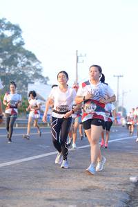 BIB: 7514, 7804
                            <button type="button" onclick="openModal(6429859)" class="btn btn-primary btn-sm float-right btn-popup" data-toggle="modal" data-target=".modal-high-quality">
                        <i class="fas fa-shopping-cart"></i> Add to Cart
                    </button>
                                            <button type="button" onclick="isThisMe(6429859, true)" class="btn btn-success btn-sm float-right btn-popup btn-isme hidden" data-toggle="tooltip" data-placement="bottom" title="นี่คือรูปของคุณใช่ไหม คลิกที่นี่เพื่อเอาเข้าอัลบั้ม">
                        <i class="fas fa-plus"></i> Add to album
                    </button>
                    <button type="button" onclick="isThisMe(6429859, false)" class="btn btn-warning btn-sm float-right btn-popup btn-isnotme hidden">
                        <i class="fas fa-ban"></i> Remove from album
                    </button>