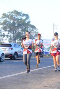 BIB: 6309, 7324, 6110
                            <button type="button" onclick="openModal(6430052)" class="btn btn-primary btn-sm float-right btn-popup" data-toggle="modal" data-target=".modal-high-quality">
                        <i class="fas fa-shopping-cart"></i> Add to Cart
                    </button>
                                            <button type="button" onclick="isThisMe(6430052, true)" class="btn btn-success btn-sm float-right btn-popup btn-isme hidden" data-toggle="tooltip" data-placement="bottom" title="นี่คือรูปของคุณใช่ไหม คลิกที่นี่เพื่อเอาเข้าอัลบั้ม">
                        <i class="fas fa-plus"></i> Add to album
                    </button>
                    <button type="button" onclick="isThisMe(6430052, false)" class="btn btn-warning btn-sm float-right btn-popup btn-isnotme hidden">
                        <i class="fas fa-ban"></i> Remove from album
                    </button>