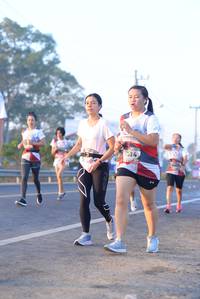 BIB: 
                            <button type="button" onclick="openModal(6429861)" class="btn btn-primary btn-sm float-right btn-popup" data-toggle="modal" data-target=".modal-high-quality">
                        <i class="fas fa-shopping-cart"></i> Add to Cart
                    </button>
                                            <button type="button" onclick="isThisMe(6429861, true)" class="btn btn-success btn-sm float-right btn-popup btn-isme hidden" data-toggle="tooltip" data-placement="bottom" title="นี่คือรูปของคุณใช่ไหม คลิกที่นี่เพื่อเอาเข้าอัลบั้ม">
                        <i class="fas fa-plus"></i> Add to album
                    </button>
                    <button type="button" onclick="isThisMe(6429861, false)" class="btn btn-warning btn-sm float-right btn-popup btn-isnotme hidden">
                        <i class="fas fa-ban"></i> Remove from album
                    </button>