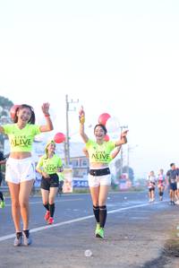 BIB: 
                            <button type="button" onclick="openModal(6429146)" class="btn btn-primary btn-sm float-right btn-popup" data-toggle="modal" data-target=".modal-high-quality">
                        <i class="fas fa-shopping-cart"></i> Add to Cart
                    </button>
                                            <button type="button" onclick="isThisMe(6429146, true)" class="btn btn-success btn-sm float-right btn-popup btn-isme hidden" data-toggle="tooltip" data-placement="bottom" title="นี่คือรูปของคุณใช่ไหม คลิกที่นี่เพื่อเอาเข้าอัลบั้ม">
                        <i class="fas fa-plus"></i> Add to album
                    </button>
                    <button type="button" onclick="isThisMe(6429146, false)" class="btn btn-warning btn-sm float-right btn-popup btn-isnotme hidden">
                        <i class="fas fa-ban"></i> Remove from album
                    </button>