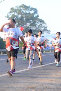 BIB: 6276, 458, 736
                            <button type="button" onclick="openModal(6431113)" class="btn btn-primary btn-sm float-right btn-popup" data-toggle="modal" data-target=".modal-high-quality">
                        <i class="fas fa-shopping-cart"></i> Add to Cart
                    </button>
                                            <button type="button" onclick="isThisMe(6431113, true)" class="btn btn-success btn-sm float-right btn-popup btn-isme hidden" data-toggle="tooltip" data-placement="bottom" title="นี่คือรูปของคุณใช่ไหม คลิกที่นี่เพื่อเอาเข้าอัลบั้ม">
                        <i class="fas fa-plus"></i> Add to album
                    </button>
                    <button type="button" onclick="isThisMe(6431113, false)" class="btn btn-warning btn-sm float-right btn-popup btn-isnotme hidden">
                        <i class="fas fa-ban"></i> Remove from album
                    </button>