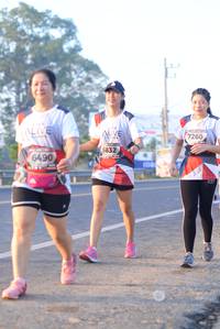 BIB: 7260, 6832, 6490
                            <button type="button" onclick="openModal(6430514)" class="btn btn-primary btn-sm float-right btn-popup" data-toggle="modal" data-target=".modal-high-quality">
                        <i class="fas fa-shopping-cart"></i> Add to Cart
                    </button>
                                            <button type="button" onclick="isThisMe(6430514, true)" class="btn btn-success btn-sm float-right btn-popup btn-isme hidden" data-toggle="tooltip" data-placement="bottom" title="นี่คือรูปของคุณใช่ไหม คลิกที่นี่เพื่อเอาเข้าอัลบั้ม">
                        <i class="fas fa-plus"></i> Add to album
                    </button>
                    <button type="button" onclick="isThisMe(6430514, false)" class="btn btn-warning btn-sm float-right btn-popup btn-isnotme hidden">
                        <i class="fas fa-ban"></i> Remove from album
                    </button>