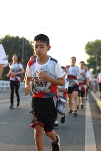 BIB: 7557
                            <button type="button" onclick="openModal(6389291)" class="btn btn-primary btn-sm float-right btn-popup" data-toggle="modal" data-target=".modal-high-quality">
                        <i class="fas fa-shopping-cart"></i> Add to Cart
                    </button>
                                            <button type="button" onclick="isThisMe(6389291, true)" class="btn btn-success btn-sm float-right btn-popup btn-isme hidden" data-toggle="tooltip" data-placement="bottom" title="นี่คือรูปของคุณใช่ไหม คลิกที่นี่เพื่อเอาเข้าอัลบั้ม">
                        <i class="fas fa-plus"></i> Add to album
                    </button>
                    <button type="button" onclick="isThisMe(6389291, false)" class="btn btn-warning btn-sm float-right btn-popup btn-isnotme hidden">
                        <i class="fas fa-ban"></i> Remove from album
                    </button>