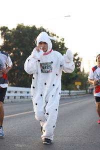 BIB: 6125
                            <button type="button" onclick="openModal(6386379)" class="btn btn-primary btn-sm float-right btn-popup" data-toggle="modal" data-target=".modal-high-quality">
                        <i class="fas fa-shopping-cart"></i> Add to Cart
                    </button>
                                            <button type="button" onclick="isThisMe(6386379, true)" class="btn btn-success btn-sm float-right btn-popup btn-isme hidden" data-toggle="tooltip" data-placement="bottom" title="นี่คือรูปของคุณใช่ไหม คลิกที่นี่เพื่อเอาเข้าอัลบั้ม">
                        <i class="fas fa-plus"></i> Add to album
                    </button>
                    <button type="button" onclick="isThisMe(6386379, false)" class="btn btn-warning btn-sm float-right btn-popup btn-isnotme hidden">
                        <i class="fas fa-ban"></i> Remove from album
                    </button>