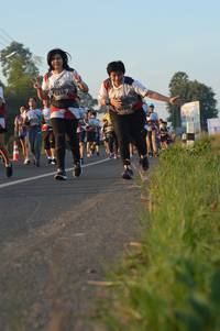 BIB: 6516, 164
                            <button type="button" onclick="openModal(6485438)" class="btn btn-primary btn-sm float-right btn-popup" data-toggle="modal" data-target=".modal-high-quality">
                        <i class="fas fa-shopping-cart"></i> Add to Cart
                    </button>
                                            <button type="button" onclick="isThisMe(6485438, true)" class="btn btn-success btn-sm float-right btn-popup btn-isme hidden" data-toggle="tooltip" data-placement="bottom" title="นี่คือรูปของคุณใช่ไหม คลิกที่นี่เพื่อเอาเข้าอัลบั้ม">
                        <i class="fas fa-plus"></i> Add to album
                    </button>
                    <button type="button" onclick="isThisMe(6485438, false)" class="btn btn-warning btn-sm float-right btn-popup btn-isnotme hidden">
                        <i class="fas fa-ban"></i> Remove from album
                    </button>