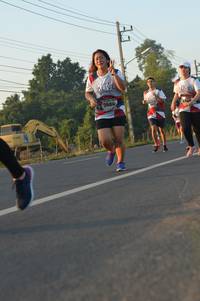 BIB: 7984, 674
                            <button type="button" onclick="openModal(6486169)" class="btn btn-primary btn-sm float-right btn-popup" data-toggle="modal" data-target=".modal-high-quality">
                        <i class="fas fa-shopping-cart"></i> Add to Cart
                    </button>
                                            <button type="button" onclick="isThisMe(6486169, true)" class="btn btn-success btn-sm float-right btn-popup btn-isme hidden" data-toggle="tooltip" data-placement="bottom" title="นี่คือรูปของคุณใช่ไหม คลิกที่นี่เพื่อเอาเข้าอัลบั้ม">
                        <i class="fas fa-plus"></i> Add to album
                    </button>
                    <button type="button" onclick="isThisMe(6486169, false)" class="btn btn-warning btn-sm float-right btn-popup btn-isnotme hidden">
                        <i class="fas fa-ban"></i> Remove from album
                    </button>