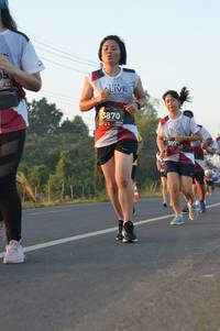 BIB: 3870, 309
                            <button type="button" onclick="openModal(6485006)" class="btn btn-primary btn-sm float-right btn-popup" data-toggle="modal" data-target=".modal-high-quality">
                        <i class="fas fa-shopping-cart"></i> Add to Cart
                    </button>
                                            <button type="button" onclick="isThisMe(6485006, true)" class="btn btn-success btn-sm float-right btn-popup btn-isme hidden" data-toggle="tooltip" data-placement="bottom" title="นี่คือรูปของคุณใช่ไหม คลิกที่นี่เพื่อเอาเข้าอัลบั้ม">
                        <i class="fas fa-plus"></i> Add to album
                    </button>
                    <button type="button" onclick="isThisMe(6485006, false)" class="btn btn-warning btn-sm float-right btn-popup btn-isnotme hidden">
                        <i class="fas fa-ban"></i> Remove from album
                    </button>