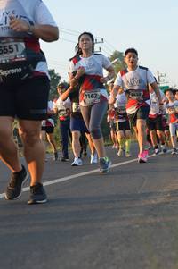 BIB: 5551, 7162, 6638, 703, 670
                            <button type="button" onclick="openModal(6485191)" class="btn btn-primary btn-sm float-right btn-popup" data-toggle="modal" data-target=".modal-high-quality">
                        <i class="fas fa-shopping-cart"></i> Add to Cart
                    </button>
                                            <button type="button" onclick="isThisMe(6485191, true)" class="btn btn-success btn-sm float-right btn-popup btn-isme hidden" data-toggle="tooltip" data-placement="bottom" title="นี่คือรูปของคุณใช่ไหม คลิกที่นี่เพื่อเอาเข้าอัลบั้ม">
                        <i class="fas fa-plus"></i> Add to album
                    </button>
                    <button type="button" onclick="isThisMe(6485191, false)" class="btn btn-warning btn-sm float-right btn-popup btn-isnotme hidden">
                        <i class="fas fa-ban"></i> Remove from album
                    </button>