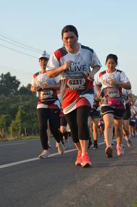 BIB: 6231, 441, 6490
                            <button type="button" onclick="openModal(6486573)" class="btn btn-primary btn-sm float-right btn-popup" data-toggle="modal" data-target=".modal-high-quality">
                        <i class="fas fa-shopping-cart"></i> Add to Cart
                    </button>
                                            <button type="button" onclick="isThisMe(6486573, true)" class="btn btn-success btn-sm float-right btn-popup btn-isme hidden" data-toggle="tooltip" data-placement="bottom" title="นี่คือรูปของคุณใช่ไหม คลิกที่นี่เพื่อเอาเข้าอัลบั้ม">
                        <i class="fas fa-plus"></i> Add to album
                    </button>
                    <button type="button" onclick="isThisMe(6486573, false)" class="btn btn-warning btn-sm float-right btn-popup btn-isnotme hidden">
                        <i class="fas fa-ban"></i> Remove from album
                    </button>