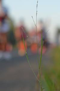 BIB: 
                            <button type="button" onclick="openModal(6484630)" class="btn btn-primary btn-sm float-right btn-popup" data-toggle="modal" data-target=".modal-high-quality">
                        <i class="fas fa-shopping-cart"></i> Add to Cart
                    </button>
                                            <button type="button" onclick="isThisMe(6484630, true)" class="btn btn-success btn-sm float-right btn-popup btn-isme hidden" data-toggle="tooltip" data-placement="bottom" title="นี่คือรูปของคุณใช่ไหม คลิกที่นี่เพื่อเอาเข้าอัลบั้ม">
                        <i class="fas fa-plus"></i> Add to album
                    </button>
                    <button type="button" onclick="isThisMe(6484630, false)" class="btn btn-warning btn-sm float-right btn-popup btn-isnotme hidden">
                        <i class="fas fa-ban"></i> Remove from album
                    </button>