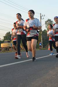 BIB: 3121, 383, 7905, 607
                            <button type="button" onclick="openModal(6485027)" class="btn btn-primary btn-sm float-right btn-popup" data-toggle="modal" data-target=".modal-high-quality">
                        <i class="fas fa-shopping-cart"></i> Add to Cart
                    </button>
                                            <button type="button" onclick="isThisMe(6485027, true)" class="btn btn-success btn-sm float-right btn-popup btn-isme hidden" data-toggle="tooltip" data-placement="bottom" title="นี่คือรูปของคุณใช่ไหม คลิกที่นี่เพื่อเอาเข้าอัลบั้ม">
                        <i class="fas fa-plus"></i> Add to album
                    </button>
                    <button type="button" onclick="isThisMe(6485027, false)" class="btn btn-warning btn-sm float-right btn-popup btn-isnotme hidden">
                        <i class="fas fa-ban"></i> Remove from album
                    </button>