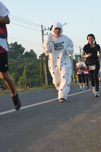 BIB: 6125, 3081, 3130
                            <button type="button" onclick="openModal(6484568)" class="btn btn-primary btn-sm float-right btn-popup" data-toggle="modal" data-target=".modal-high-quality">
                        <i class="fas fa-shopping-cart"></i> Add to Cart
                    </button>
                                            <button type="button" onclick="isThisMe(6484568, true)" class="btn btn-success btn-sm float-right btn-popup btn-isme hidden" data-toggle="tooltip" data-placement="bottom" title="นี่คือรูปของคุณใช่ไหม คลิกที่นี่เพื่อเอาเข้าอัลบั้ม">
                        <i class="fas fa-plus"></i> Add to album
                    </button>
                    <button type="button" onclick="isThisMe(6484568, false)" class="btn btn-warning btn-sm float-right btn-popup btn-isnotme hidden">
                        <i class="fas fa-ban"></i> Remove from album
                    </button>