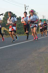 BIB: 5821, 3893
                            <button type="button" onclick="openModal(6484835)" class="btn btn-primary btn-sm float-right btn-popup" data-toggle="modal" data-target=".modal-high-quality">
                        <i class="fas fa-shopping-cart"></i> Add to Cart
                    </button>
                                            <button type="button" onclick="isThisMe(6484835, true)" class="btn btn-success btn-sm float-right btn-popup btn-isme hidden" data-toggle="tooltip" data-placement="bottom" title="นี่คือรูปของคุณใช่ไหม คลิกที่นี่เพื่อเอาเข้าอัลบั้ม">
                        <i class="fas fa-plus"></i> Add to album
                    </button>
                    <button type="button" onclick="isThisMe(6484835, false)" class="btn btn-warning btn-sm float-right btn-popup btn-isnotme hidden">
                        <i class="fas fa-ban"></i> Remove from album
                    </button>