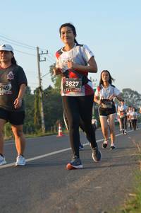 BIB: 3827, 749, 176
                            <button type="button" onclick="openModal(6462547)" class="btn btn-primary btn-sm float-right btn-popup" data-toggle="modal" data-target=".modal-high-quality">
                        <i class="fas fa-shopping-cart"></i> Add to Cart
                    </button>
                                            <button type="button" onclick="isThisMe(6462547, true)" class="btn btn-success btn-sm float-right btn-popup btn-isme hidden" data-toggle="tooltip" data-placement="bottom" title="นี่คือรูปของคุณใช่ไหม คลิกที่นี่เพื่อเอาเข้าอัลบั้ม">
                        <i class="fas fa-plus"></i> Add to album
                    </button>
                    <button type="button" onclick="isThisMe(6462547, false)" class="btn btn-warning btn-sm float-right btn-popup btn-isnotme hidden">
                        <i class="fas fa-ban"></i> Remove from album
                    </button>