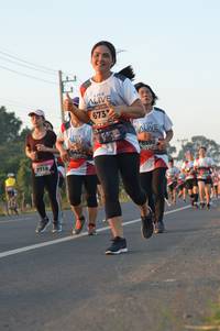 BIB: 673, 6398, 643, 7718
                            <button type="button" onclick="openModal(6485029)" class="btn btn-primary btn-sm float-right btn-popup" data-toggle="modal" data-target=".modal-high-quality">
                        <i class="fas fa-shopping-cart"></i> Add to Cart
                    </button>
                                            <button type="button" onclick="isThisMe(6485029, true)" class="btn btn-success btn-sm float-right btn-popup btn-isme hidden" data-toggle="tooltip" data-placement="bottom" title="นี่คือรูปของคุณใช่ไหม คลิกที่นี่เพื่อเอาเข้าอัลบั้ม">
                        <i class="fas fa-plus"></i> Add to album
                    </button>
                    <button type="button" onclick="isThisMe(6485029, false)" class="btn btn-warning btn-sm float-right btn-popup btn-isnotme hidden">
                        <i class="fas fa-ban"></i> Remove from album
                    </button>