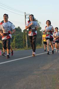 BIB: 6105, 6224, 3870
                            <button type="button" onclick="openModal(6484984)" class="btn btn-primary btn-sm float-right btn-popup" data-toggle="modal" data-target=".modal-high-quality">
                        <i class="fas fa-shopping-cart"></i> Add to Cart
                    </button>
                                            <button type="button" onclick="isThisMe(6484984, true)" class="btn btn-success btn-sm float-right btn-popup btn-isme hidden" data-toggle="tooltip" data-placement="bottom" title="นี่คือรูปของคุณใช่ไหม คลิกที่นี่เพื่อเอาเข้าอัลบั้ม">
                        <i class="fas fa-plus"></i> Add to album
                    </button>
                    <button type="button" onclick="isThisMe(6484984, false)" class="btn btn-warning btn-sm float-right btn-popup btn-isnotme hidden">
                        <i class="fas fa-ban"></i> Remove from album
                    </button>