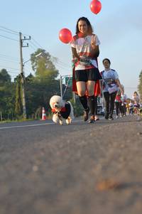 BIB: 6106
                            <button type="button" onclick="openModal(6463412)" class="btn btn-primary btn-sm float-right btn-popup" data-toggle="modal" data-target=".modal-high-quality">
                        <i class="fas fa-shopping-cart"></i> Add to Cart
                    </button>
                                            <button type="button" onclick="isThisMe(6463412, true)" class="btn btn-success btn-sm float-right btn-popup btn-isme hidden" data-toggle="tooltip" data-placement="bottom" title="นี่คือรูปของคุณใช่ไหม คลิกที่นี่เพื่อเอาเข้าอัลบั้ม">
                        <i class="fas fa-plus"></i> Add to album
                    </button>
                    <button type="button" onclick="isThisMe(6463412, false)" class="btn btn-warning btn-sm float-right btn-popup btn-isnotme hidden">
                        <i class="fas fa-ban"></i> Remove from album
                    </button>