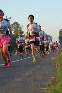 BIB: 041
                            <button type="button" onclick="openModal(6485531)" class="btn btn-primary btn-sm float-right btn-popup" data-toggle="modal" data-target=".modal-high-quality">
                        <i class="fas fa-shopping-cart"></i> Add to Cart
                    </button>
                                            <button type="button" onclick="isThisMe(6485531, true)" class="btn btn-success btn-sm float-right btn-popup btn-isme hidden" data-toggle="tooltip" data-placement="bottom" title="นี่คือรูปของคุณใช่ไหม คลิกที่นี่เพื่อเอาเข้าอัลบั้ม">
                        <i class="fas fa-plus"></i> Add to album
                    </button>
                    <button type="button" onclick="isThisMe(6485531, false)" class="btn btn-warning btn-sm float-right btn-popup btn-isnotme hidden">
                        <i class="fas fa-ban"></i> Remove from album
                    </button>