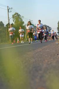 BIB: 17462
                            <button type="button" onclick="openModal(6463031)" class="btn btn-primary btn-sm float-right btn-popup" data-toggle="modal" data-target=".modal-high-quality">
                        <i class="fas fa-shopping-cart"></i> Add to Cart
                    </button>
                                            <button type="button" onclick="isThisMe(6463031, true)" class="btn btn-success btn-sm float-right btn-popup btn-isme hidden" data-toggle="tooltip" data-placement="bottom" title="นี่คือรูปของคุณใช่ไหม คลิกที่นี่เพื่อเอาเข้าอัลบั้ม">
                        <i class="fas fa-plus"></i> Add to album
                    </button>
                    <button type="button" onclick="isThisMe(6463031, false)" class="btn btn-warning btn-sm float-right btn-popup btn-isnotme hidden">
                        <i class="fas fa-ban"></i> Remove from album
                    </button>