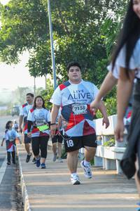 BIB: 7138, 7524
                            <button type="button" onclick="openModal(6434157)" class="btn btn-primary btn-sm float-right btn-popup" data-toggle="modal" data-target=".modal-high-quality">
                        <i class="fas fa-shopping-cart"></i> Add to Cart
                    </button>
                                            <button type="button" onclick="isThisMe(6434157, true)" class="btn btn-success btn-sm float-right btn-popup btn-isme hidden" data-toggle="tooltip" data-placement="bottom" title="นี่คือรูปของคุณใช่ไหม คลิกที่นี่เพื่อเอาเข้าอัลบั้ม">
                        <i class="fas fa-plus"></i> Add to album
                    </button>
                    <button type="button" onclick="isThisMe(6434157, false)" class="btn btn-warning btn-sm float-right btn-popup btn-isnotme hidden">
                        <i class="fas fa-ban"></i> Remove from album
                    </button>