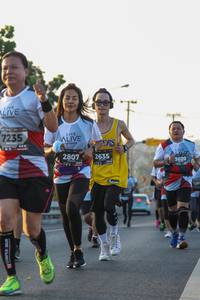 BIB: 7235, 2807, 2635, 3020
                            <button type="button" onclick="openModal(6429039)" class="btn btn-primary btn-sm float-right btn-popup" data-toggle="modal" data-target=".modal-high-quality">
                        <i class="fas fa-shopping-cart"></i> Add to Cart
                    </button>
                                            <button type="button" onclick="isThisMe(6429039, true)" class="btn btn-success btn-sm float-right btn-popup btn-isme hidden" data-toggle="tooltip" data-placement="bottom" title="นี่คือรูปของคุณใช่ไหม คลิกที่นี่เพื่อเอาเข้าอัลบั้ม">
                        <i class="fas fa-plus"></i> Add to album
                    </button>
                    <button type="button" onclick="isThisMe(6429039, false)" class="btn btn-warning btn-sm float-right btn-popup btn-isnotme hidden">
                        <i class="fas fa-ban"></i> Remove from album
                    </button>