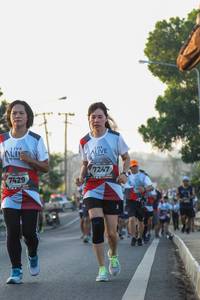 BIB: 7247, 7429
                            <button type="button" onclick="openModal(6426846)" class="btn btn-primary btn-sm float-right btn-popup" data-toggle="modal" data-target=".modal-high-quality">
                        <i class="fas fa-shopping-cart"></i> Add to Cart
                    </button>
                                            <button type="button" onclick="isThisMe(6426846, true)" class="btn btn-success btn-sm float-right btn-popup btn-isme hidden" data-toggle="tooltip" data-placement="bottom" title="นี่คือรูปของคุณใช่ไหม คลิกที่นี่เพื่อเอาเข้าอัลบั้ม">
                        <i class="fas fa-plus"></i> Add to album
                    </button>
                    <button type="button" onclick="isThisMe(6426846, false)" class="btn btn-warning btn-sm float-right btn-popup btn-isnotme hidden">
                        <i class="fas fa-ban"></i> Remove from album
                    </button>