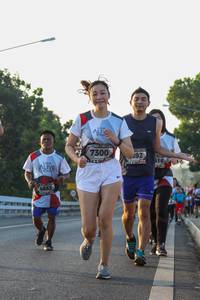 BIB: 7300, 516, 4853
                            <button type="button" onclick="openModal(6430320)" class="btn btn-primary btn-sm float-right btn-popup" data-toggle="modal" data-target=".modal-high-quality">
                        <i class="fas fa-shopping-cart"></i> Add to Cart
                    </button>
                                            <button type="button" onclick="isThisMe(6430320, true)" class="btn btn-success btn-sm float-right btn-popup btn-isme hidden" data-toggle="tooltip" data-placement="bottom" title="นี่คือรูปของคุณใช่ไหม คลิกที่นี่เพื่อเอาเข้าอัลบั้ม">
                        <i class="fas fa-plus"></i> Add to album
                    </button>
                    <button type="button" onclick="isThisMe(6430320, false)" class="btn btn-warning btn-sm float-right btn-popup btn-isnotme hidden">
                        <i class="fas fa-ban"></i> Remove from album
                    </button>