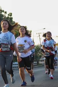 BIB: 6040, 6273, 2175
                            <button type="button" onclick="openModal(6429642)" class="btn btn-primary btn-sm float-right btn-popup" data-toggle="modal" data-target=".modal-high-quality">
                        <i class="fas fa-shopping-cart"></i> Add to Cart
                    </button>
                                            <button type="button" onclick="isThisMe(6429642, true)" class="btn btn-success btn-sm float-right btn-popup btn-isme hidden" data-toggle="tooltip" data-placement="bottom" title="นี่คือรูปของคุณใช่ไหม คลิกที่นี่เพื่อเอาเข้าอัลบั้ม">
                        <i class="fas fa-plus"></i> Add to album
                    </button>
                    <button type="button" onclick="isThisMe(6429642, false)" class="btn btn-warning btn-sm float-right btn-popup btn-isnotme hidden">
                        <i class="fas fa-ban"></i> Remove from album
                    </button>