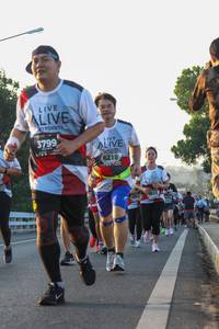 BIB: 3799, 6218, 7853
                            <button type="button" onclick="openModal(6428939)" class="btn btn-primary btn-sm float-right btn-popup" data-toggle="modal" data-target=".modal-high-quality">
                        <i class="fas fa-shopping-cart"></i> Add to Cart
                    </button>
                                            <button type="button" onclick="isThisMe(6428939, true)" class="btn btn-success btn-sm float-right btn-popup btn-isme hidden" data-toggle="tooltip" data-placement="bottom" title="นี่คือรูปของคุณใช่ไหม คลิกที่นี่เพื่อเอาเข้าอัลบั้ม">
                        <i class="fas fa-plus"></i> Add to album
                    </button>
                    <button type="button" onclick="isThisMe(6428939, false)" class="btn btn-warning btn-sm float-right btn-popup btn-isnotme hidden">
                        <i class="fas fa-ban"></i> Remove from album
                    </button>