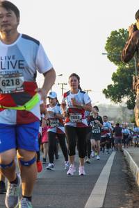 BIB: 6218, 7853, 6344
                            <button type="button" onclick="openModal(6428941)" class="btn btn-primary btn-sm float-right btn-popup" data-toggle="modal" data-target=".modal-high-quality">
                        <i class="fas fa-shopping-cart"></i> Add to Cart
                    </button>
                                            <button type="button" onclick="isThisMe(6428941, true)" class="btn btn-success btn-sm float-right btn-popup btn-isme hidden" data-toggle="tooltip" data-placement="bottom" title="นี่คือรูปของคุณใช่ไหม คลิกที่นี่เพื่อเอาเข้าอัลบั้ม">
                        <i class="fas fa-plus"></i> Add to album
                    </button>
                    <button type="button" onclick="isThisMe(6428941, false)" class="btn btn-warning btn-sm float-right btn-popup btn-isnotme hidden">
                        <i class="fas fa-ban"></i> Remove from album
                    </button>